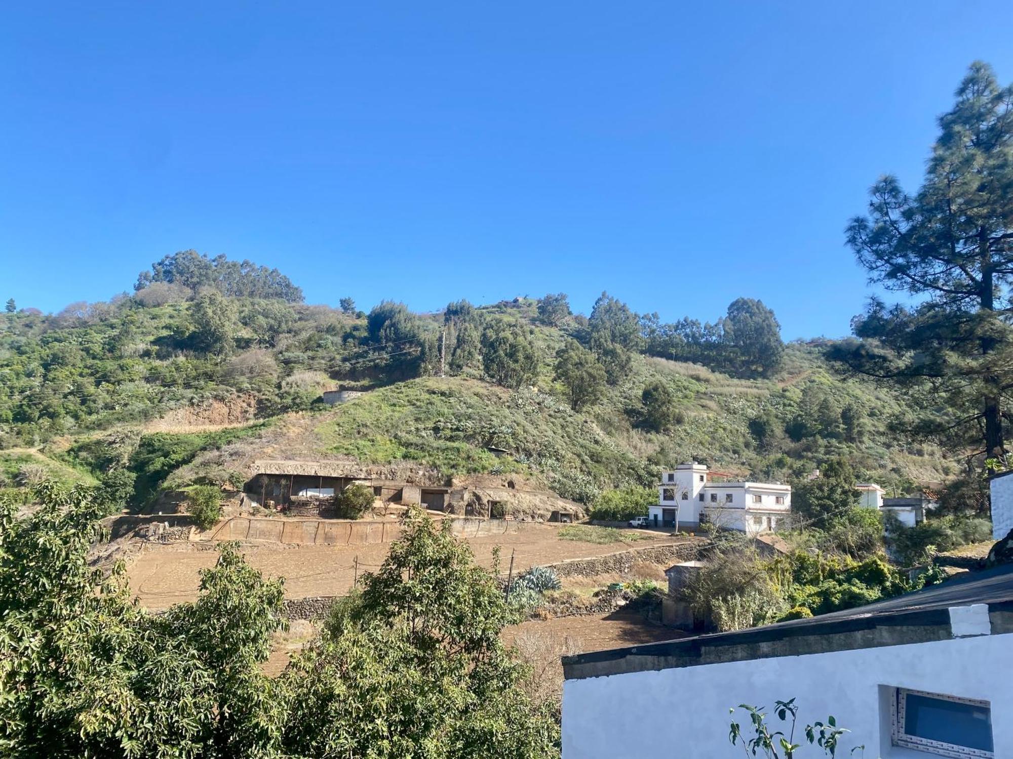 Finca Los Arcos Del Laurel Moya  Exterior photo