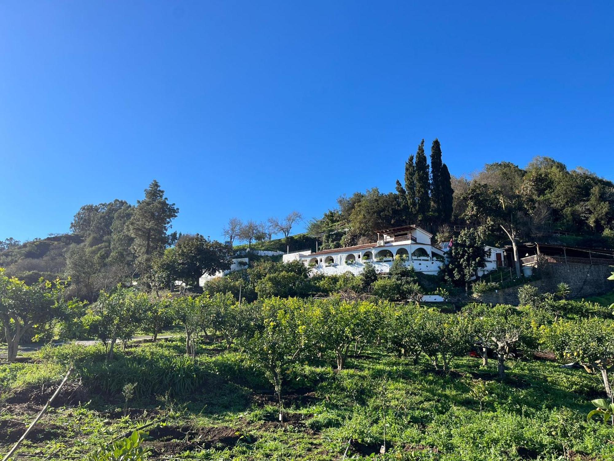 Finca Los Arcos Del Laurel Moya  Exterior photo